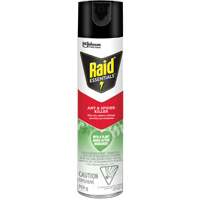 Raid&reg; Essentials Ant & Spider Killer, 350 g, Aerosol Can Seaboard Timber Mart