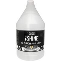 Janitori All-Purpose i-Shine Spray & Wipe, 4 L, Jug Seaboard Timber Mart