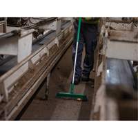 Push Broom Head, Fine/Stiff Bristles, 16-1/2", Polyester/Polypropylene, Green Seaboard Timber Mart