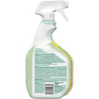 CloroxPro Clorox EcoClean Disinfecting Cleaner, 946 ml, Trigger Bottle Seaboard Timber Mart