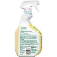 Nettoyant tout usage CloroxPro Clorox EcoClean, 946 ml, Bouteille &agrave; g&acirc;chette Seaboard Timber Mart