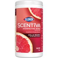 Disinfecting Wipes, 75 Count Seaboard Timber Mart