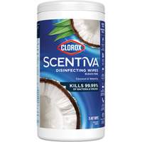 Disinfecting Wipes, 75 Count Seaboard Timber Mart