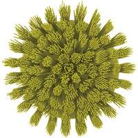 Brosse ronde HyDrive pour perceuse, Soies Tr&egrave;s ferme, Longueur de 3-1/10", Jaune Seaboard Timber Mart