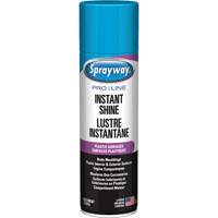 Brillant instantan&eacute; Pro Line pour surfaces en plastique, 11 oz, Canette a&eacute;rosol Seaboard Timber Mart