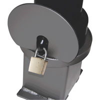 Bornes d&eacute;coratives amovibles, Acier, 40" h x 4-1/2" la, Noir Seaboard Timber Mart