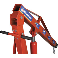2-Ton Folding Shop Crane, 4000 lbs. (2 tons) Capacity Seaboard Timber Mart