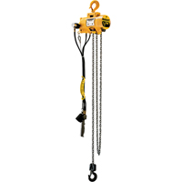 Budgit&reg; Air Chain Hoists Seaboard Timber Mart