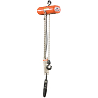 ShopStar Electric Hoists, 10' Lift, 250 lbs. (0.125 tons) Capacity, 16 FPM Seaboard Timber Mart