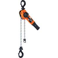 Series 653-A Ratchet Lever Hoist, 5' Lift, 1500 lbs. (0.75 tons) Capacity, Steel Chain Seaboard Timber Mart