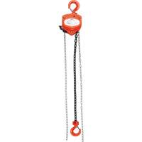 Chain Hoist, 10' Lift, 10000 lbs. (5 tons) Capacity, Alloy Steel Chain Seaboard Timber Mart