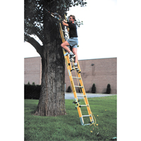 Industrial Heavy-Duty Extension Ladders (6200 Series), 375 lbs. Cap., 13' H, Grade 1AA Seaboard Timber Mart