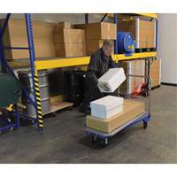 Platform Cart, 48" L x 24" W, 1500 lbs. Capacity, Mold-on Rubber Casters Seaboard Timber Mart