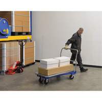 Platform Cart, 48" L x 24" W, 1500 lbs. Capacity, Mold-on Rubber Casters Seaboard Timber Mart