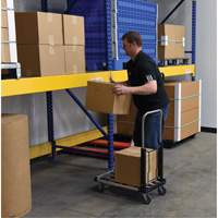 Fold-Up Platform Truck, Stainless Steel, 300 lbs., 28" L x 16" W, 33-1/2" High Seaboard Timber Mart