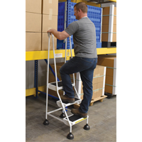 Stop-Step Ladders, 3 Steps, 16" Step Width, 28-11/16" Platform Height, Steel Seaboard Timber Mart