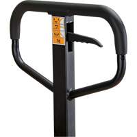 Manual Pallet Truck, Steel, 48" L x 21" W, 5500 lbs. Capacity Seaboard Timber Mart