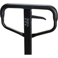 Steel Wheel Pallet Truck, Steel, 48" L x 27" W, 5500 lbs. Capacity Seaboard Timber Mart