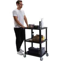Utility Cart with Flat Shelf, 3 Tiers, 18-1/8" x 37-3/8" x 27-3/4", 330 lbs. Capacity Seaboard Timber Mart