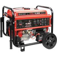 Tri-Fuel Generator with Electric Start Seaboard Timber Mart