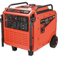 Tri-Fuel Inverter Generator Seaboard Timber Mart
