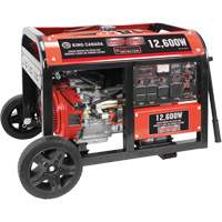 Gasoline Generator with Electric Start, 12600 W Surge, 9000 W Rated, 120 V/240 V, 31 L Tank Seaboard Timber Mart
