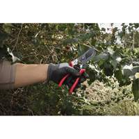 1” Angled Pruning Shears Seaboard Timber Mart
