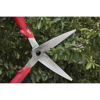 Hedge Shears? with Hollow Handle Seaboard Timber Mart