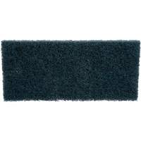 Scrubber Pad, 10" L x 4-5/8" W Seaboard Timber Mart