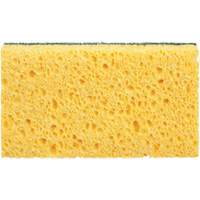 Utility Sponges, Cellulose, 6" W x 3-1/2" L Seaboard Timber Mart