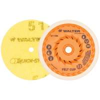 Quick-Step Instant Polish Discs, 5" Dia. Seaboard Timber Mart