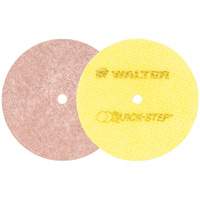 Quick-Step Instant Polish Discs, 5" Dia. Seaboard Timber Mart