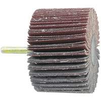 Shaft Mounted Flapwheel, 60 Grit, 1-1/2" x 1/4" Seaboard Timber Mart