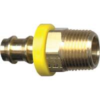 Grip-Tite Male Pipe Hose Fitting, 1/4" x 1/4" Dia, Brass Seaboard Timber Mart