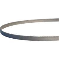 Lames de scie &agrave; ruban portatives Master-Band, Bim&eacute;tal, 18 Dents par pouce, 44-7/8" lo x 1/2" la Seaboard Timber Mart