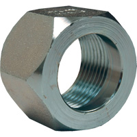 Dixon&reg; Mining Hex Nut, 1", Zinc Plated, NPT Thread Seaboard Timber Mart