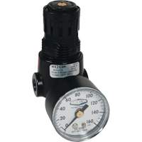 Wilkerson Miniature Regulator R04, 1/4" NPT, 300 psi Max. PSI, Standard Seaboard Timber Mart