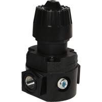 Wilkerson Compact Regulator R16, 1/4" NPT, 300 psi Max. PSI, Standard Seaboard Timber Mart