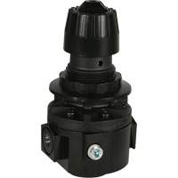 Wilkerson Regulator R26, 3/8" NPT, 300 psi Max. PSI, Standard Seaboard Timber Mart