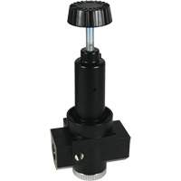 Wilkerson High Flow Regulator R30, 3/4" NPT, 300 psi Max. PSI, Standard Seaboard Timber Mart