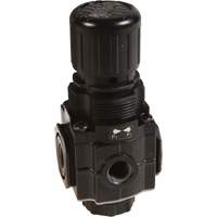 Collecteur de r&eacute;gulateur de s&eacute;rie 1, 1/4" NPT, PSI max. de 150 psi, Standard Seaboard Timber Mart