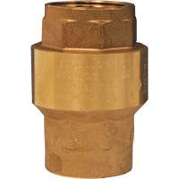 Horizontal Swing Check Valve Seaboard Timber Mart