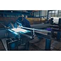 Serre-joint enti&egrave;rement en acier &agrave; double force variable Seaboard Timber Mart