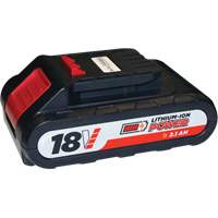 Batterie au lithium-ion de 18 V et 2,1 Ah Seaboard Timber Mart