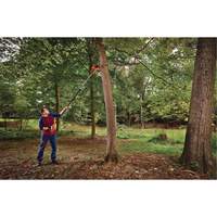 2-in-1 Pole Chainsaw Seaboard Timber Mart