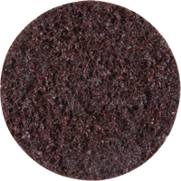 Standard Abrasives Surface Conditioning Discs, 2" Dia., Coarse Grit Seaboard Timber Mart