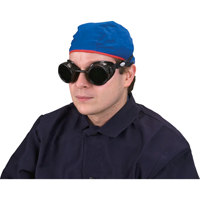 Cup Goggles, 5.0 Lens, Anti-Scratch, Closed Vent Seaboard Timber Mart