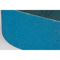 Courroie abrasive bleu Seaboard Timber Mart