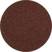 Lock Back Sanding Disc - 3", 3" Dia., 36 Grit, Aluminum Oxide Seaboard Timber Mart