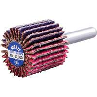 Mini-meule &agrave; lamelles mont&eacute;e sur tige, C&eacute;ramique d'alumine, Grain 40, 1" x 1" x 1/4" Seaboard Timber Mart